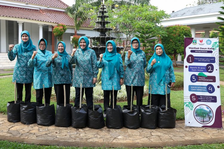 TP PKK Provinsi Banten Luncurkan  Gerakan Sejuta Pohon Kelor